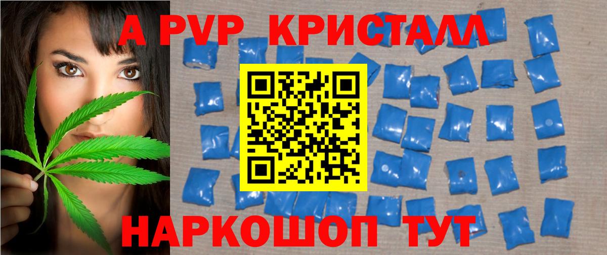 APVP СК КРИС Псков