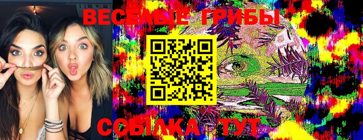 Псков  Псилоцибиновые грибы Psilocybe  Псилоцибиновые грибы мицелий  Вход с VPN 